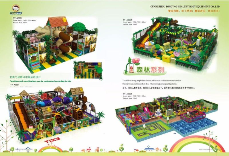 Amusement Jungle Indoor Playground for Kids (TY-14001)