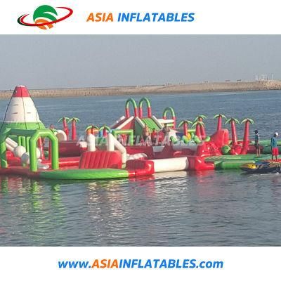 Best Supplier Inflatable Toys Bounce Water Park with Pool and Slide