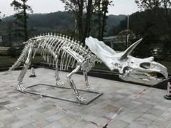 Museum Exhitis Dinosaur Skeleton