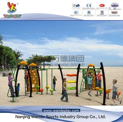 Wandeplay Climbing Equipment Amusement Park Children Outdoor Playground Equipment with Wd-Tn0402