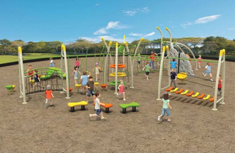 Multifunction Interactive Kids Outdoor Playground (TY-70603)