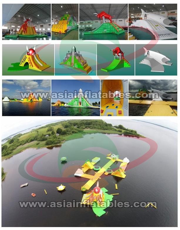 Custom Inflatable Dolphin Slide Water Auqa Park Slide