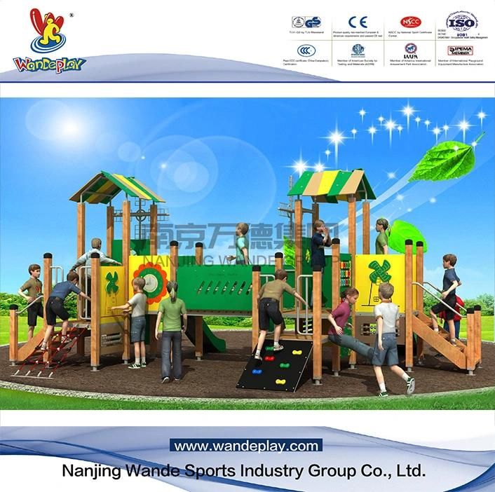 Amusement Park Children Outdoor PE Kids Outdoor Playground Equipment with Slide