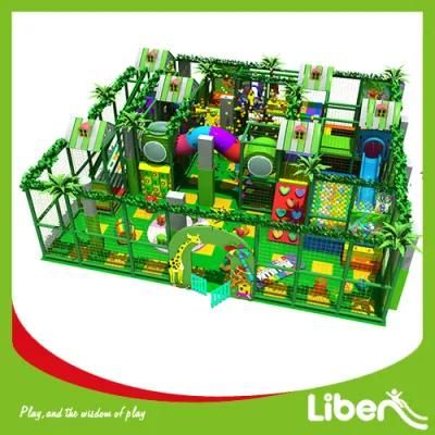 Interesting Indoor Playground with Jungle Gym