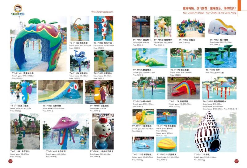 Plastic Slide Outdoor Playgroud Water Park (TY-71102)