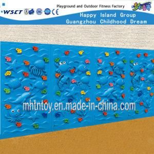 Ocean Feature Climbing Playground Series Plastic Wall (HF-19003)