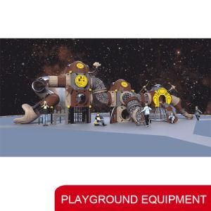Amusement Park Outdoor Playground Plastic of Ce/ISO Certificate