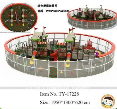 Amusement Children Outdoor Playground Equipment (TY-17228)