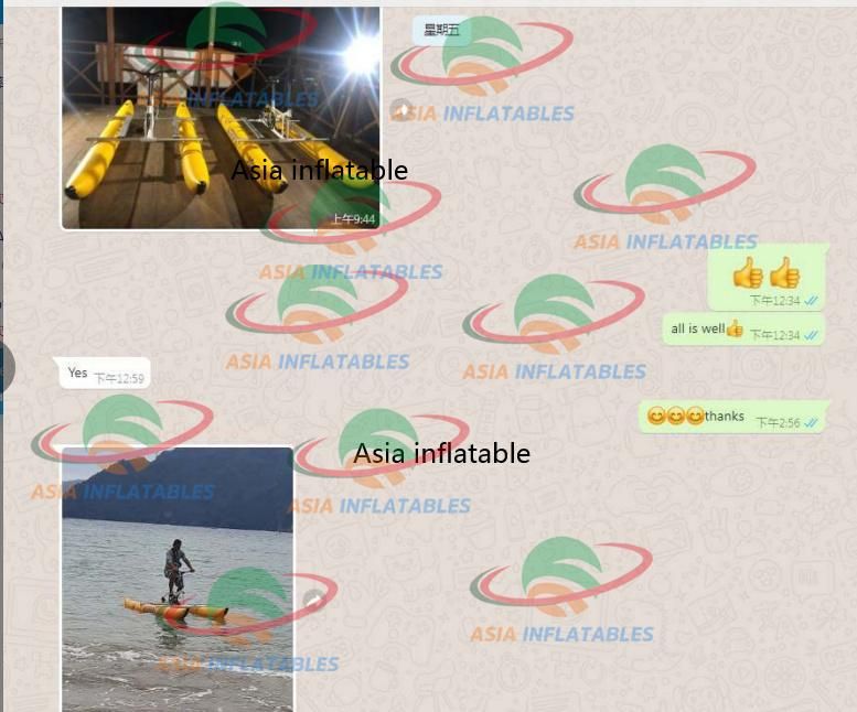 Inflatable Pontoon Water Bike / Inflatable Drop Stitch Water Bike