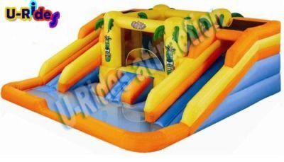 Distribution price two lanes inflatable water slide inflatable slide and slip with pool
