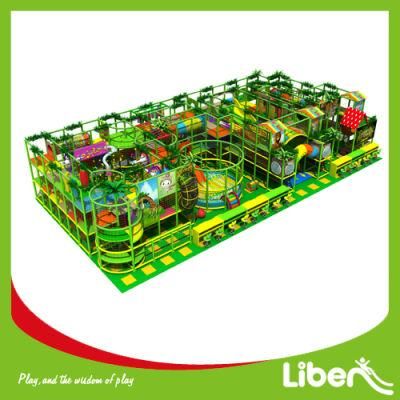 2015 Jungle Gym Theme Indoor Playground Park for Children