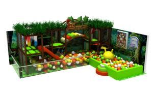 Fascinating and Design Indoor Playground