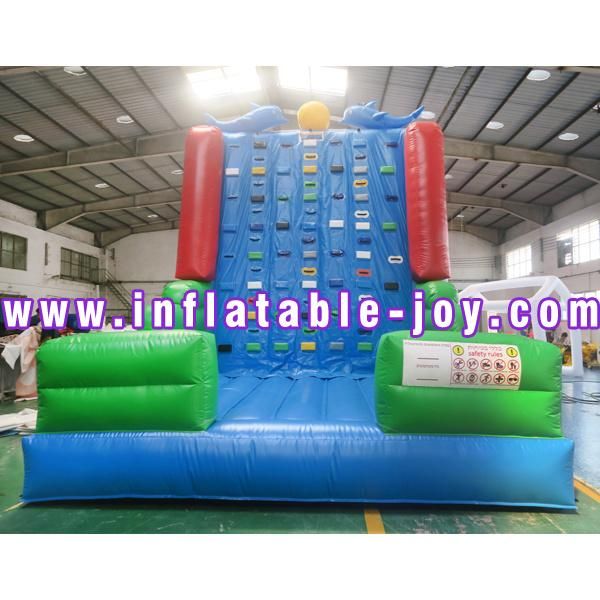 Water Park Inflatable Climbing Wall