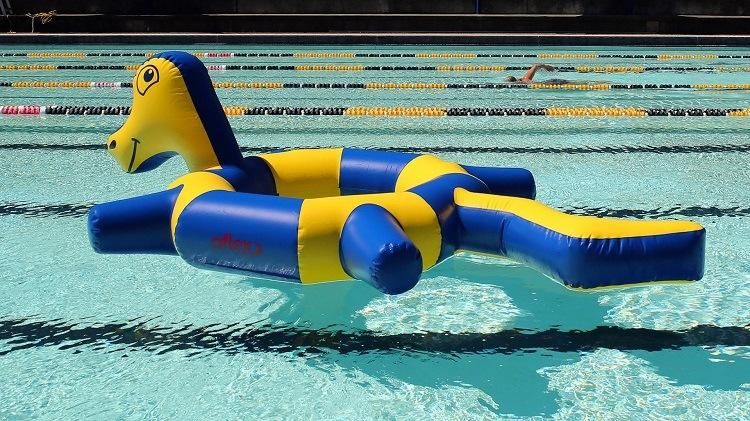 Air Floating Inflatable Pool Water Toys Water Bird for Sale