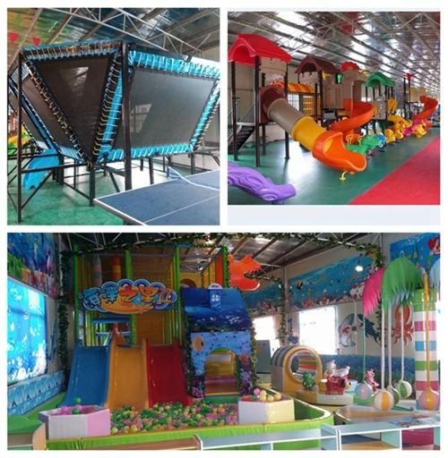 Amusement Children Outdoor Playground Equipment for Sale (TY-170220)
