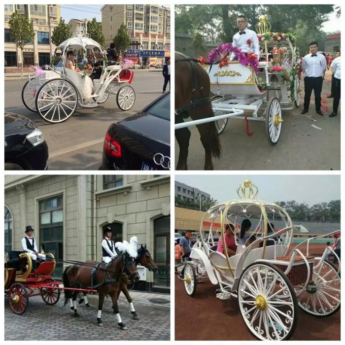 Exported Exquisite Royal Wedding Horse Carriage with Factory Price