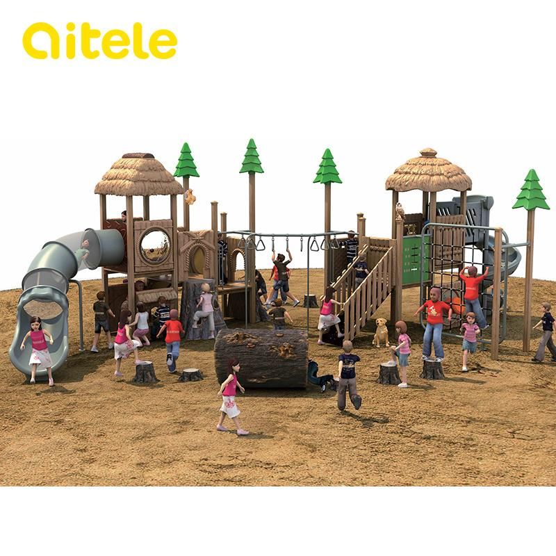 Natural Landscape Series Playground (2014NL-02301)
