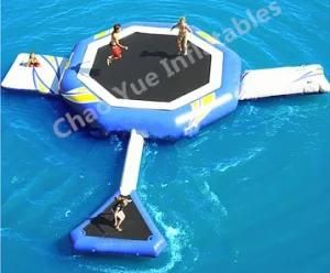 Giant Inflatable Water Equipment Park for Water Sports (CY-M2145)