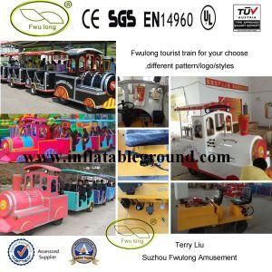 Fwulong Amusements Rides Electric Train for Sale