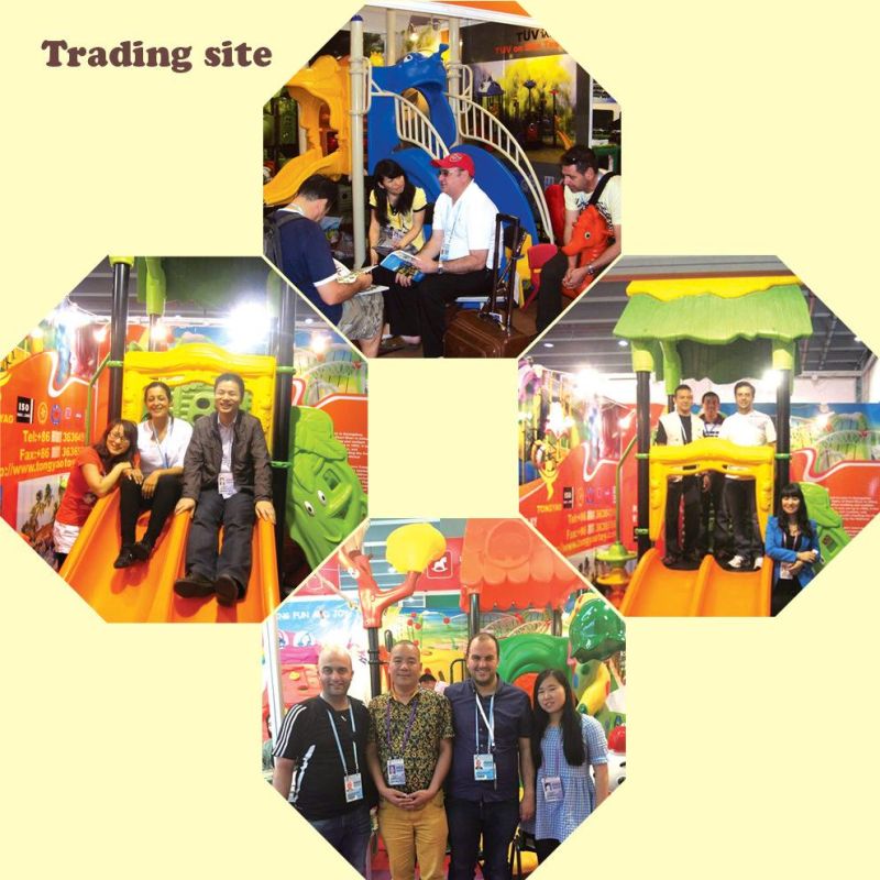 CE with 17years Experience Children Playground (TY-0828B)