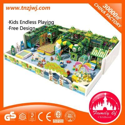 Amusement Park Toys Gym Equipment Indoor Playgrpund Castle for Sale