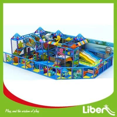 Customized Design Provider Indoor Playground for Kids