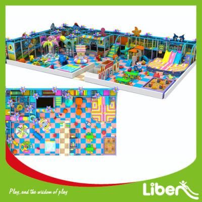 China Professional Manufacturer Customized Large Indoor Playground with High Quality