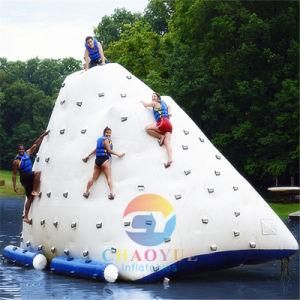 2017 Hot Water Mountain Iceberg for Water Sports Climbing (CY-1423)