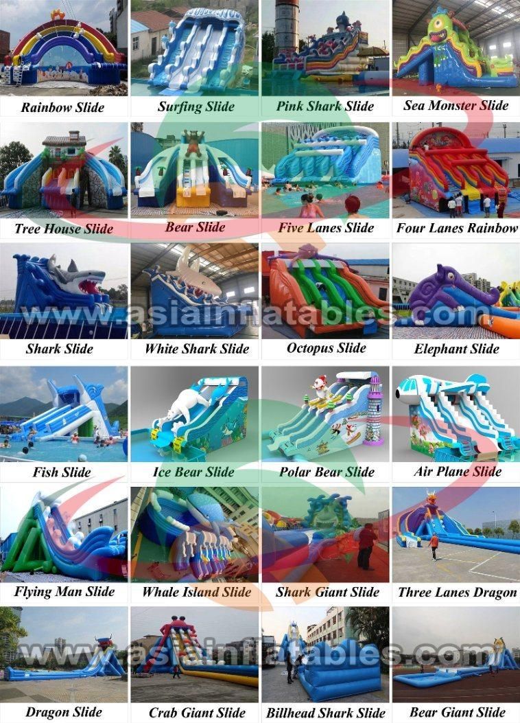 Wholesale OEM on Land Mobile Inflatable Water Playground Aqua Amusement Slides Park