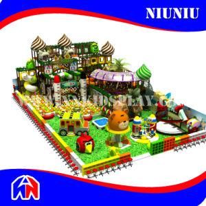 Indoor Double Plastic Slide Playground for Preschool
