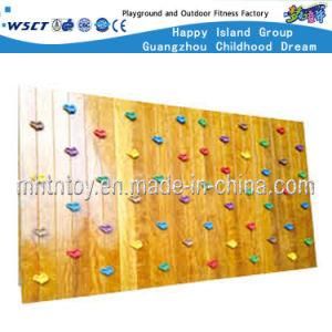 Wooden Wall Mounted Kids Climbing Playground Equipment (HF-19205)