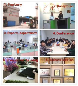 2016 Popular Attractive Kid′s High Rope Course Indoor Adventure Playground Equipment