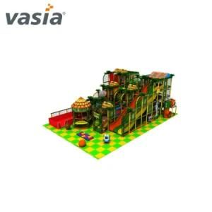 Vasia Customized Indoor Playground for Home (VS1-162-2)