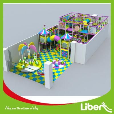 Infant School Indoor Playground with Carousel