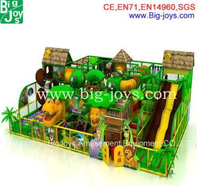 Giant Indoor Playground Equipment (BJ-IP0034)