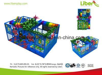 China Suppliers Quality-Assured Indoor Playground for Party