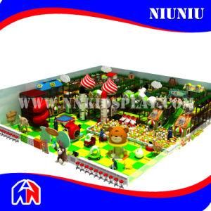 New Design Ce Safe Indoor Playground for Amusement Park