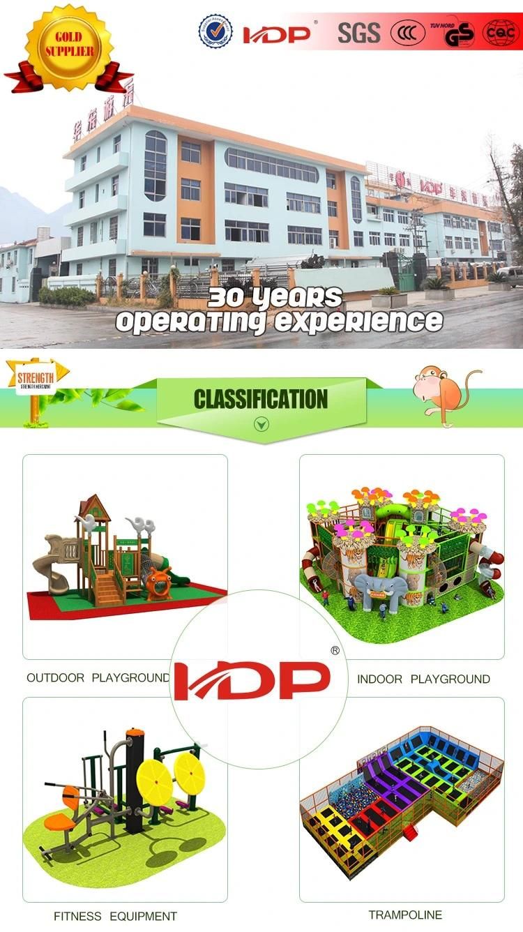 Supplier Creative Design Kids Slides Playground Equipment Price