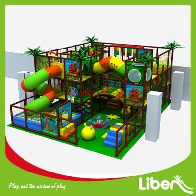 Professional Design Indoor Playground Supplier (LE. T5.309.130.00)