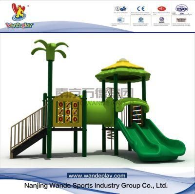 Wandeplay TUV Standard Amusement Park Children Outdoor Playground Equipment with Wd-Fr193