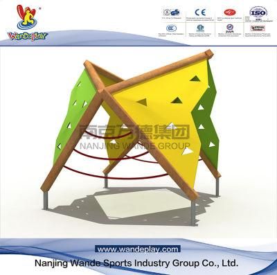 Wooden Structure PE Board Children Outdoor Playground Equipment