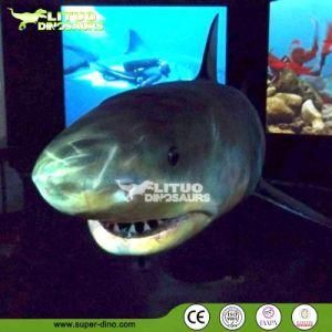 Theme Park Life-Size Animatronic Animal Models of Shark for Exhibition