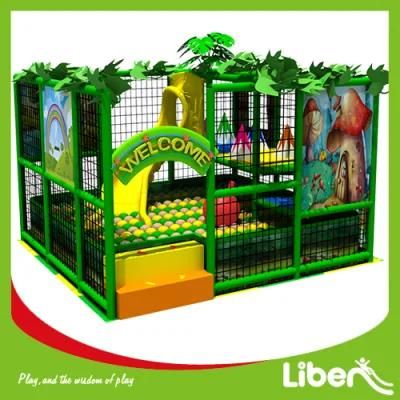 Junle Gym Small Indoor Playground for Children