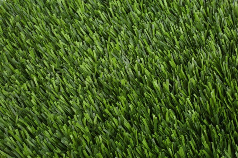Child and Dog Artificial Turf