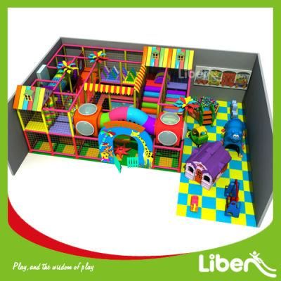 Custom Kid New Indoor Playground