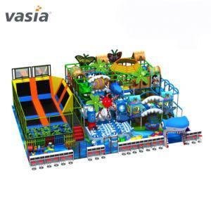 Huaxia (Vasia) Big Play Area Plastic Children Indoor Playground Equipment