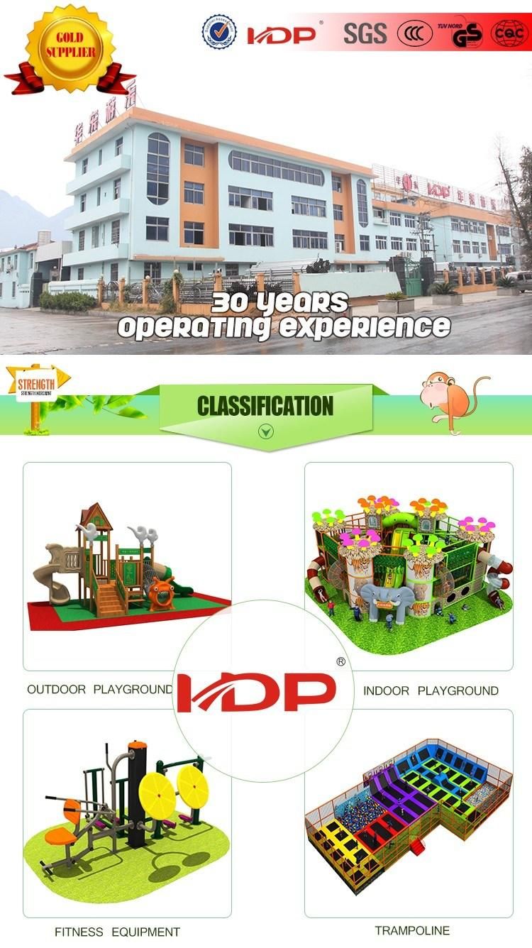 Newly Design Commerical Professional Naughty Castle Children′s Playground HD15b-015A