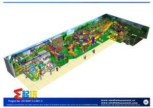 Multiple Area Indoor Playground with Ce Certificate