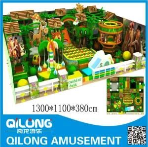 Popular Design &amp; Competitive Price for Indoor Playground (QL-1124J)