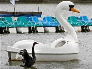 Water Park Use Swan Pedal Paddle Boat for 2 People